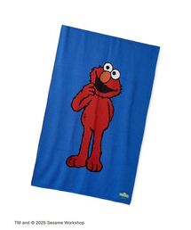 SESAME STREET（セサミストリート）の「【OUR KIND OF HOLIDAY】ブランケット（ブランケット）」