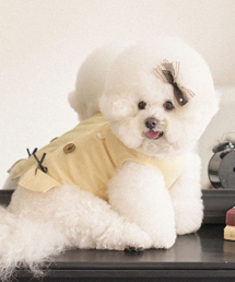 MY LITTLE DOG（マイ リトル ドッグ）の「Breeze Top - Yellow（ペットウェア）」