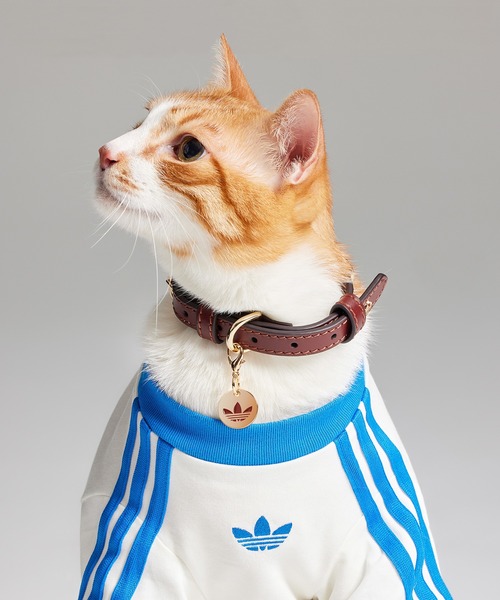 【正規新品】adidas ペット 首輪 犬猫兼用 ペット カラー / アディダスオリジナルス adidas Originals（リード