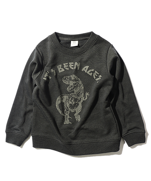 devirock（デビロック）の「全20柄 プリント裏毛長袖スウェットトレーナー（スウェット・キッズ・その他1/その他13/その他3/その他11/その他19/その他2/その他12/その他20/その他4/その他7/その他15/その他14/その他5/その他10/その他18/その他9/その他17/その他8/その他16/その他6・160cm/120cm/110cm/100cm/130cm/150cm/140cm）」の5枚目の写真