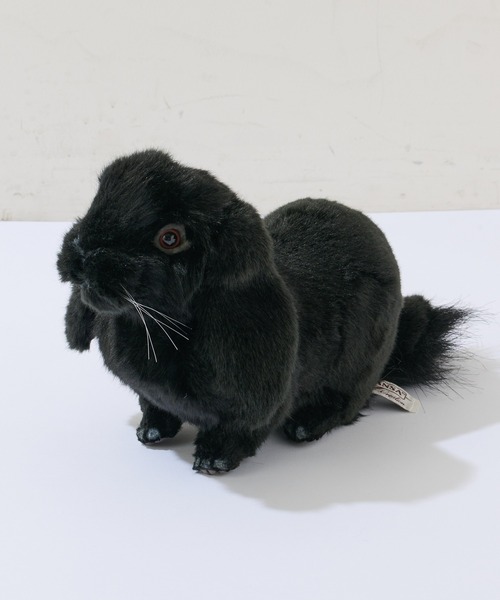 BONbazaar(ボンバザール)の「【HANSA/ハンサ】ホーランドロップ(おもちゃ・レディース・その他・ONE SIZE)」の5枚目の写真