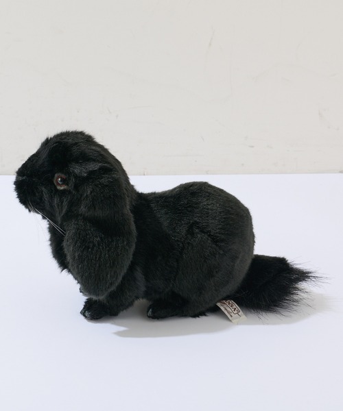 BONbazaar(ボンバザール)の「【HANSA/ハンサ】ホーランドロップ(おもちゃ・レディース・その他・ONE SIZE)」の2枚目の写真