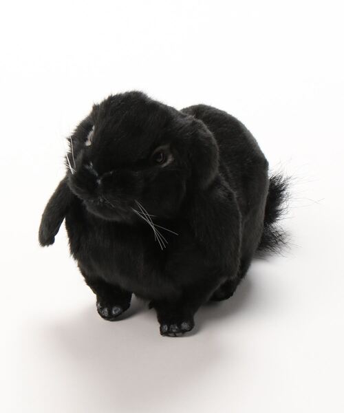 BONbazaar(ボンバザール)の「【HANSA/ハンサ】ホーランドロップ(おもちゃ・レディース・その他・ONE SIZE)」の6枚目の写真