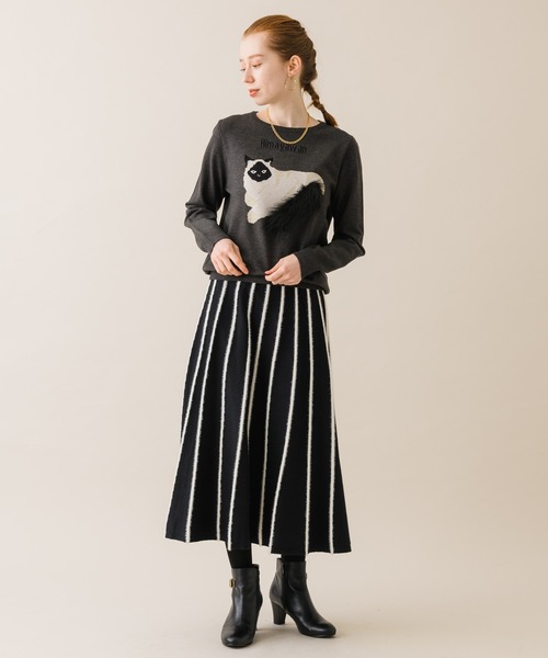 Paradise Picnic（パラダイスピクニック）の「ファーストライプ  