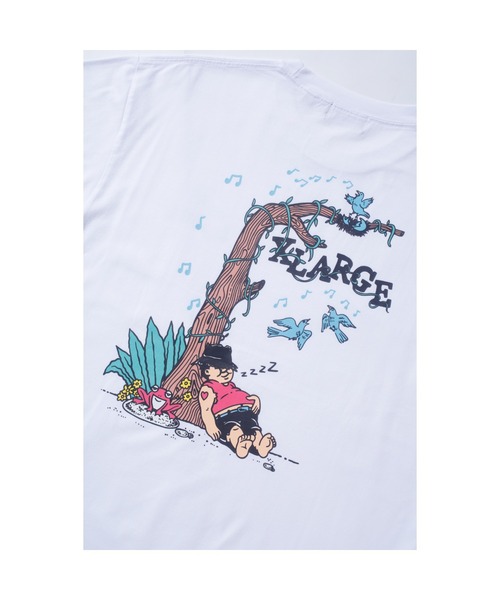 XLARGE（エクストララージ）の「DAYDREAM L/S TEE（Tシャツ/カットソー・メンズ・グリーン/ホワイト/ブラック・L/S/XL/M）」の16枚目の写真