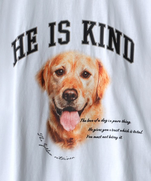 SITRY(シトリー)の「wide silhouette animal print T-shirt/ワイドシルエット アニマルプリント Tシャツ/ラグランT(Tシャツ/カットソー・メンズ・ホワイト/アッシュグレー/ブラック/グリーン/ホワイト系その他・M/L)」の9枚目の写真