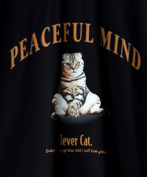 SITRY(シトリー)の「wide silhouette animal print T-shirt/ワイドシルエット アニマルプリント Tシャツ/ラグランT(Tシャツ/カットソー・メンズ・ホワイト/アッシュグレー/ブラック/グリーン/ホワイト系その他・M/L)」の13枚目の写真