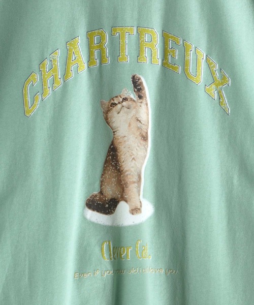 SITRY(シトリー)の「wide silhouette animal print T-shirt/ワイドシルエット アニマルプリント Tシャツ/ラグランT(Tシャツ/カットソー・メンズ・ホワイト/アッシュグレー/ブラック/グリーン/ホワイト系その他・M/L)」の14枚目の写真