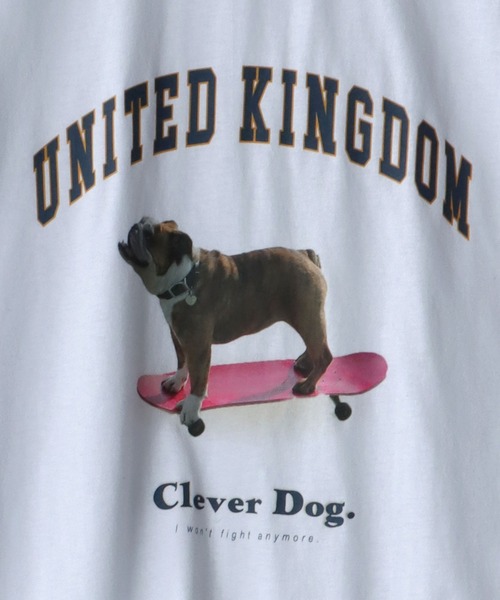 SITRY(シトリー)の「wide silhouette animal print T-shirt/ワイドシルエット アニマルプリント Tシャツ/ラグランT(Tシャツ/カットソー・メンズ・ホワイト/アッシュグレー/ブラック/グリーン/ホワイト系その他・M/L)」の15枚目の写真