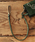 ROTARi[^[j́uButtero Leather Wallet Cord / U[ / EHbg[viEHbg`F[jvbO[