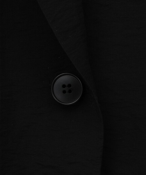 CLANE（クラネ）の「【CLANE/クラネ】SHEER TAILORED SHIRT/シアーテーラードシャツ（シャツ/ブラウス・レディース・ブラック・1）」の3枚目の写真