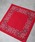 HAV-A-HANK�i�n�o�n���N �j�́u�yHAV-A-HANK�zOPEN CENTER PAISLEY BANDANA�i�o���_�i/�X�J�[�t�j�v�b���b�h