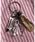 ear PAPILLONNERiCApslj́usCtGT[Utahat~jn[gtrbOt[v`[i`[jvbVo[