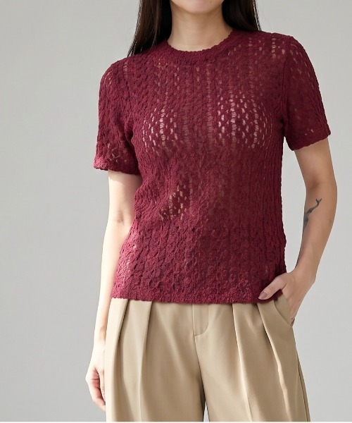 Per sist ence(パーシエンス)の「カットレースTシャツ(Tシャツ/カットソー・レディース・ブラウン/ボルドー/アイボリー/ブラック・ONE SIZE)」の1枚目の写真