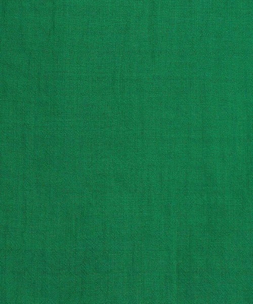 チチカカ(チチカカ)の「袖ボリュームシアーブラウス(シャツ/ブラウス・レディース・ベージュ/その他1/グリーン・FREE)」の17枚目の写真