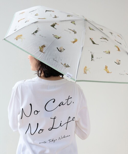 BEAMS WOMEN｜ビームスウィメンのトピックス「＼雨の日も晴れの日も猫