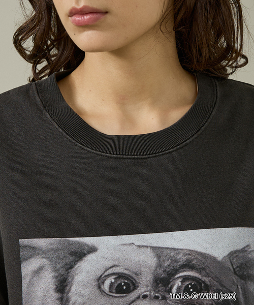 SCREEN STARS（スクリーンスターズ）の「【GREMLINS×SCREEN STARS/グレムリン×スクリーンスターズ】BLACKクルースウェットシリーズ（スウェット・メンズ・ブラック/ブラック系その他/ブラック系その他2/ブラック系その他3・M/L）」の20枚目の写真