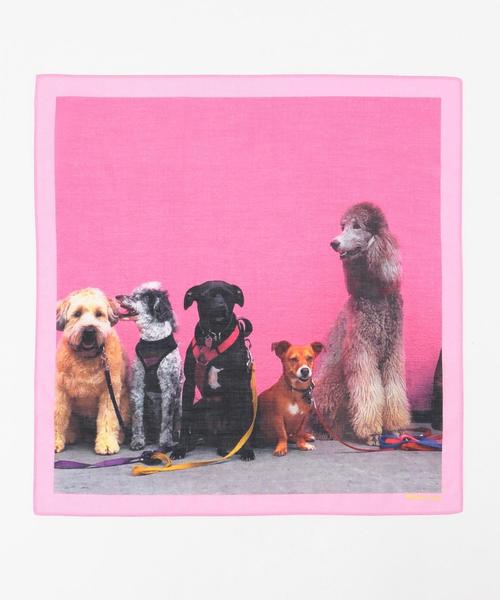 Paul Smith（ポールスミス）の「LA DOG ハンカチ（ハンカチ