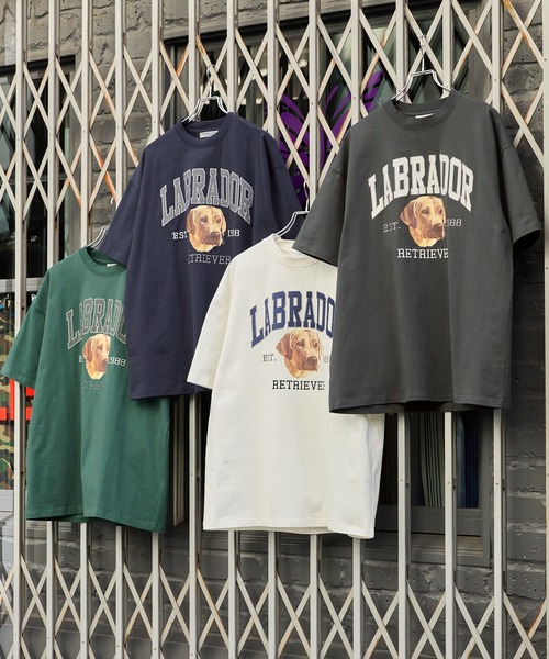 【美品】BURBERRY BLUE LABEL ラブラドールシルエットＴシャツ T-shirt Burberry Blue size L International in Cotton - 49071582