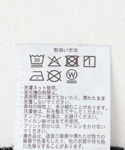 ITEMS URBANRESEARCH（アイテムズ アーバンリサーチ）の「フォトプリントTシャツ（Tシャツ/カットソー・レディース・ホワイト/ブラック/ホワイト系その他/ピンク/ブラウン/ベージュ・FREE）」の18枚目の写真