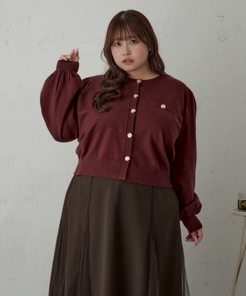 極美品♡ルネ♡ボレロカーディガン セール】シアーVネックニットカーディガン（カーディガン