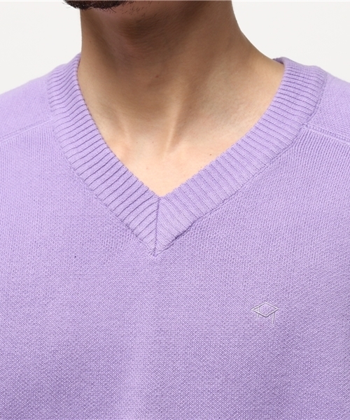 WHO'S WHO gallery(フーズフーギャラリー)の「【TABLE TALK】HUGE Vネックニット(ニット/セーター・メンズ・ベージュ/グリーン/パープル/ブルー/グレー・FREE)」の10枚目の写真