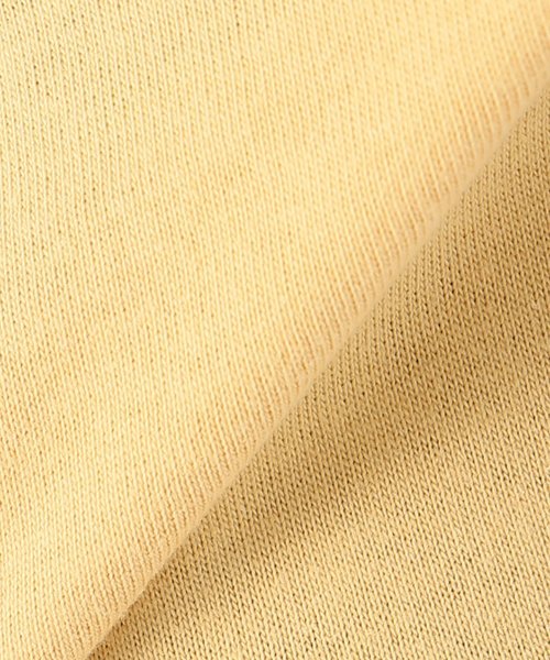 JOURNAL STANDARD(ジャーナルスタンダード)の「CHAMPテンジクフレンチスリーブT(Tシャツ/カットソー・レディース・ホワイト/ブラック/グレー/レモンイエロー・FREE)」の22枚目の写真