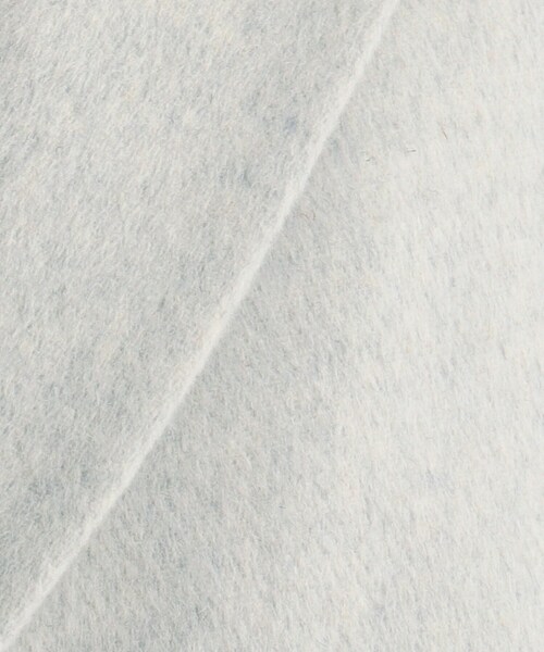 AG by aquagirl（エージーバイアクアガール）の「◆ウールブレンドダブルチェスターコート【WEB限定サイズ】（チェスターコート・レディース・ライトグレー/ライトベージュ/ブラウン系その他・40/38/36）」の19枚目の写真