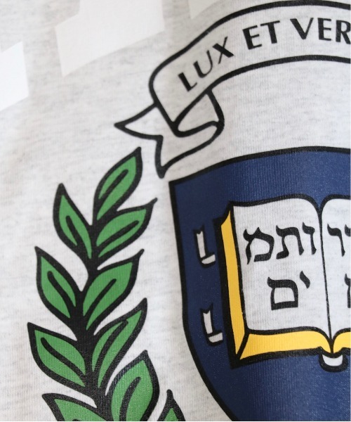 SUNNY  SPORTS（サニースポーツ）の「SUNNY SPORTS/サニースポーツ BOOKSTORE 90S YALE LOGO LS TEEブックストア90SイエールロゴL/S T-シャツ（Tシャツ/カットソー・メンズ・ライトグレー/ブラック/ネイビー/ホワイト・LARGE/MEDIUM）」の11枚目の写真