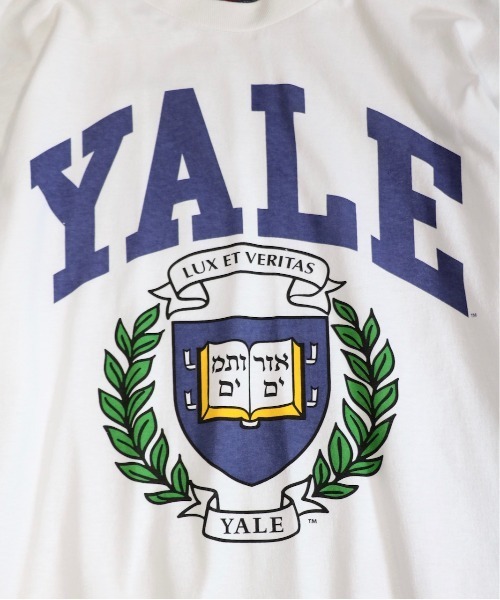 SUNNY  SPORTS（サニースポーツ）の「SUNNY SPORTS/サニースポーツ BOOKSTORE 90S YALE LOGO LS TEEブックストア90SイエールロゴL/S T-シャツ（Tシャツ/カットソー・メンズ・ライトグレー/ブラック/ネイビー/ホワイト・LARGE/MEDIUM）」の21枚目の写真