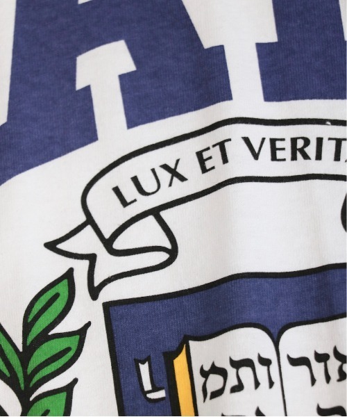 SUNNY  SPORTS（サニースポーツ）の「SUNNY SPORTS/サニースポーツ BOOKSTORE 90S YALE LOGO LS TEEブックストア90SイエールロゴL/S T-シャツ（Tシャツ/カットソー・メンズ・ライトグレー/ブラック/ネイビー/ホワイト・LARGE/MEDIUM）」の22枚目の写真