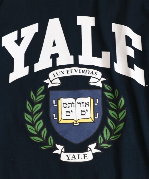 SUNNY  SPORTS（サニースポーツ）の「SUNNY SPORTS/サニースポーツ BOOKSTORE 90S YALE LOGO LS TEEブックストア90SイエールロゴL/S T-シャツ（Tシャツ/カットソー・メンズ・ライトグレー/ブラック/ネイビー/ホワイト・LARGE/MEDIUM）」の7枚目の写真