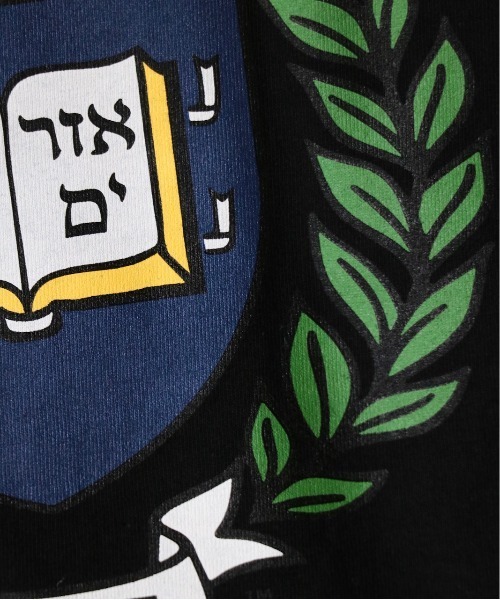 SUNNY  SPORTS（サニースポーツ）の「SUNNY SPORTS/サニースポーツ BOOKSTORE 90S YALE LOGO LS TEEブックストア90SイエールロゴL/S T-シャツ（Tシャツ/カットソー・メンズ・ライトグレー/ブラック/ネイビー/ホワイト・LARGE/MEDIUM）」の16枚目の写真