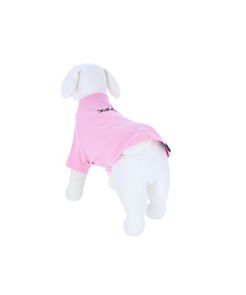 no* 犬がいます パンフレット X Pearl zakkanet_pxg-18a505m