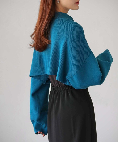 cheriella（シェリエラ）の「【cheriella】WEB限定ショートZIPニットブルゾン（ブルゾン・レディース・ワインレッド/アイボリー/ブラック/ブルー・M）」の16枚目の写真