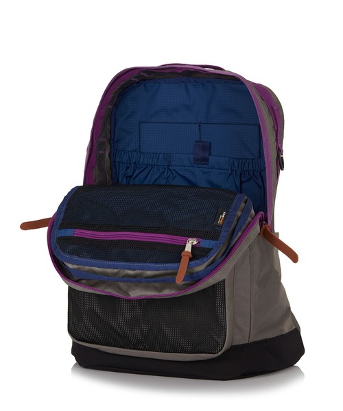 GREGORY(グレゴリー)の「キャンパスデイL CAMPUS DAY L グレー/パープル(バックパック/リュック・メンズ・グレー系その他・ONE SIZE)」の4枚目の写真