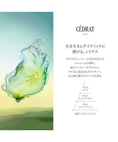 セドラ オードトワレ 50mL（香水）｜L'OCCITANE（ロクシタン）の