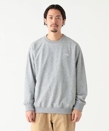 THE NORTH FACE / スモールロゴヘザースウェットクルー