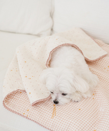 MY LITTLE DOG（マイ リトル ドッグ）の「Premium 8-ply Yoru double-sided all-season blanket（その他ペットグッズ）」