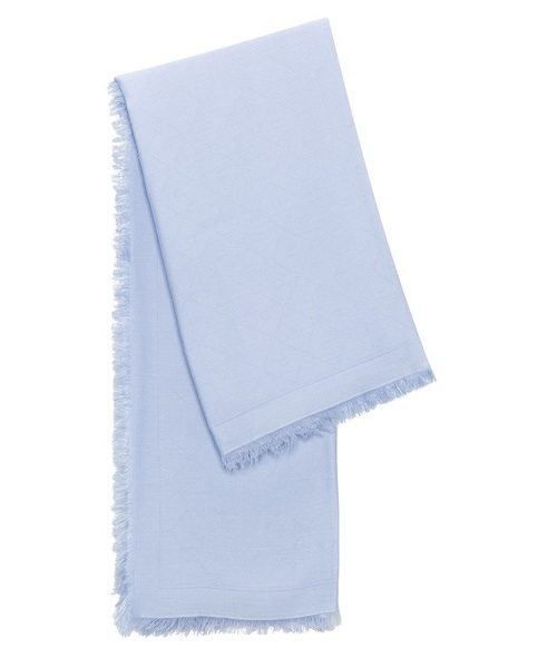 HUGO�i�q���[�S�j�́u�W���J�[�h �X�J�[�t �E�B�Y �g�[�i�� ���S �p�^�[���i�o���_�i/�X�J�[�t�j�v�b�T�b�N�X�u���[