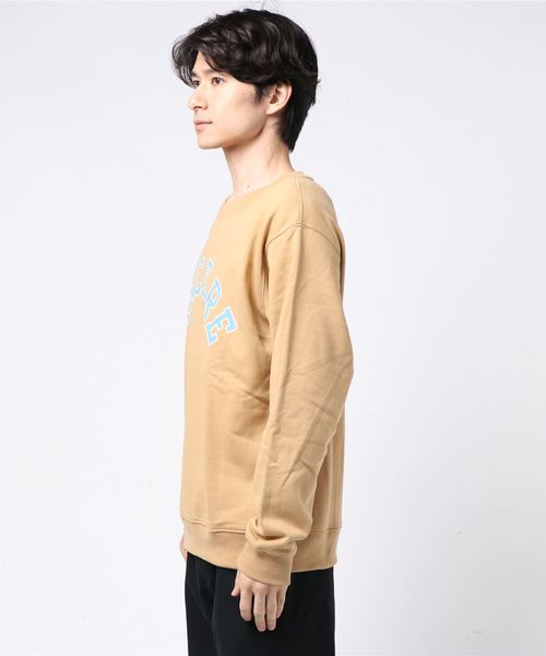 WEGO（ウィゴー）の「WEGO/カレッジプリントプルオーバー（スウェット・メンズ・ピンク/ベージュ・SMALL/MEDIUM/LARGE）」の3枚目の写真