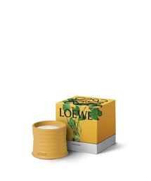 LOEWE Perfumes（ロエベ パルファム）の「ロエベ キャンドル ワサビ S