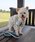 SAHIR�i�T�q�[���j�́u�ySAHIR �T�q�[���zPET HARNESS�i���[�h/�n�[�l�X/��ցj�v�b�O���[