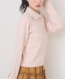 ドッキングWカラーNTPO