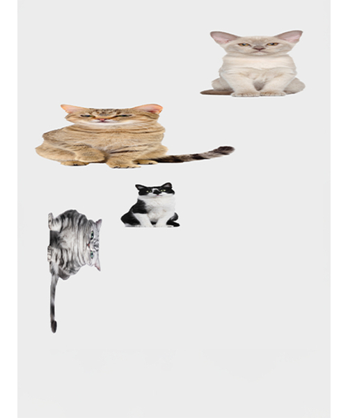 chancechance（チャンスチャンス）の「FOUR-CAT PRINTED WOMAN LONGSLEEVE T-SHIRT（Tシャツ/カットソー・レディース・その他・FREE）」の4枚目の写真