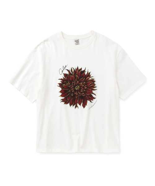 CALEE（キャリー）の「DAHLIA ART TEE ＜MIHO MURAKAMI DESIGN＞（Tシャツ/カットソー・メンズ・ホワイト系その他2/ホワイト系その他・SMALL/MEDIUM/LARGE/X-LARGE）」の5枚目の写真