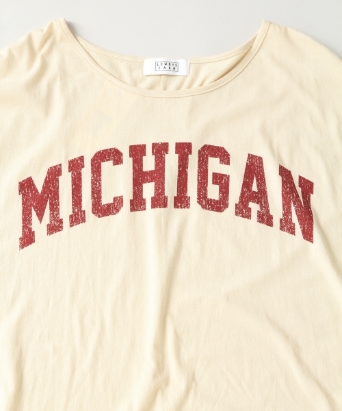 LOWRYS FARM(ローリーズファーム)の「ワイドプリントTシャツ 804240(Tシャツ/カットソー・レディース・ベージュ/ブラウン/グレー/オフホワイト・FREE)」の12枚目の写真