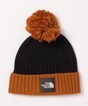 THE NORTH FACE(ザノースフェイス)の「帽子(キャップ)」