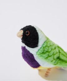 【HANSA/ハンサ】クロコキンチョウ