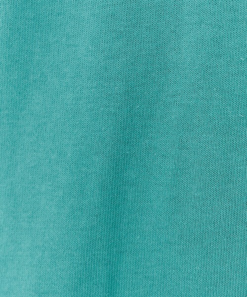 F-LAGSTUF-F(フラグスタフ)の「COVER LOGO RINGER TEE(Tシャツ/カットソー・メンズ・グリーン/ホワイト・L/M)」の22枚目の写真